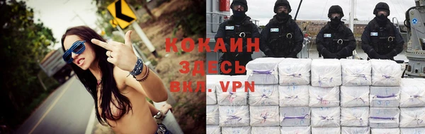 гашик Вяземский