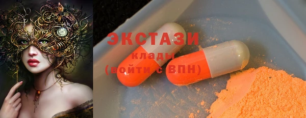гашик Вяземский