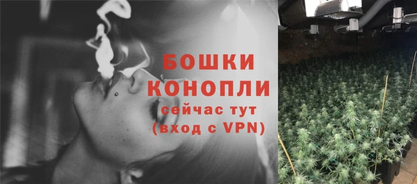 гашик Вяземский