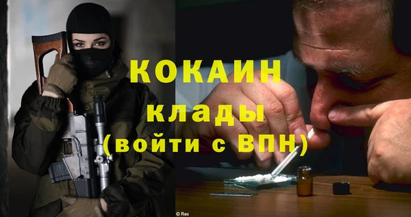 гашик Вяземский