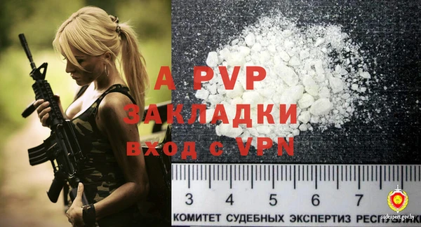 гашик Вяземский