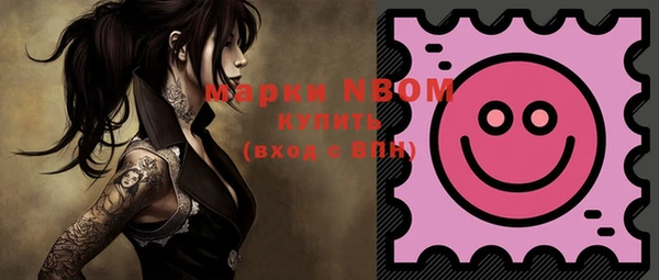 гашик Вяземский
