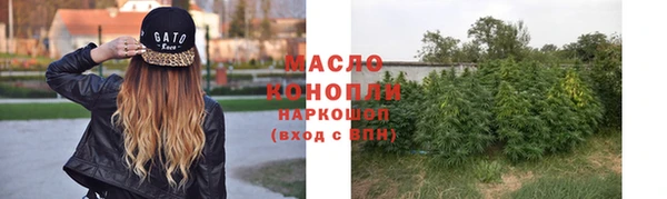 гашик Вяземский