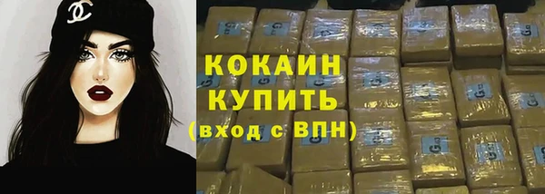 гашик Вяземский