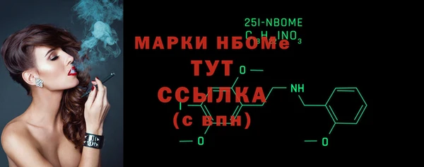 гашик Вяземский