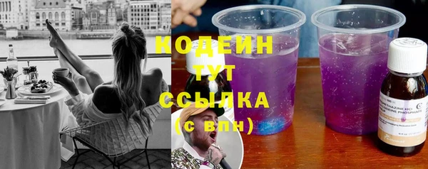 гашик Вяземский