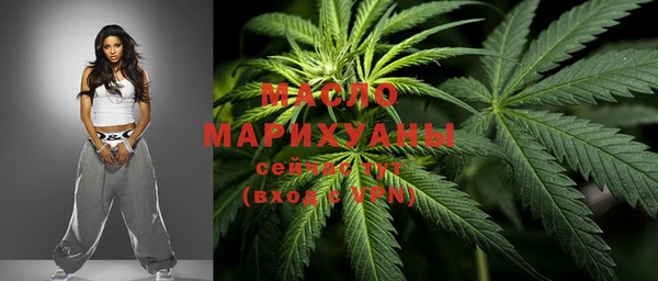 гашик Вяземский